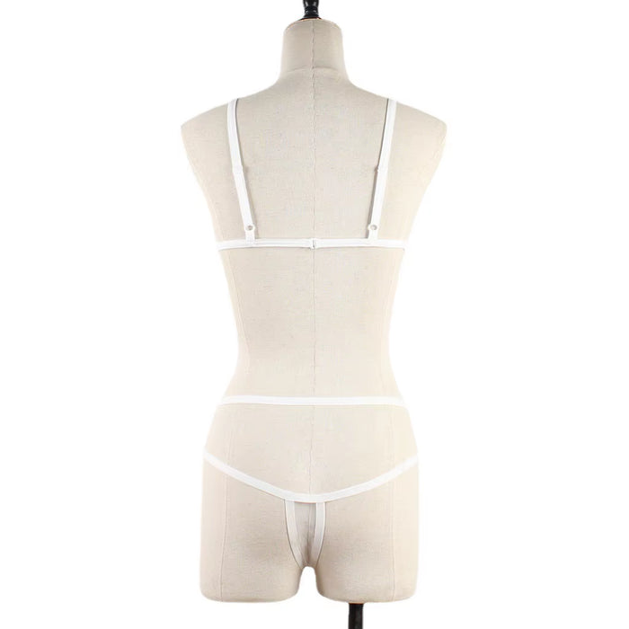 2025 Sexy Women Underwear Lingerie Lace Underwear Sets Ladies Bra and Underwear Lace Sets