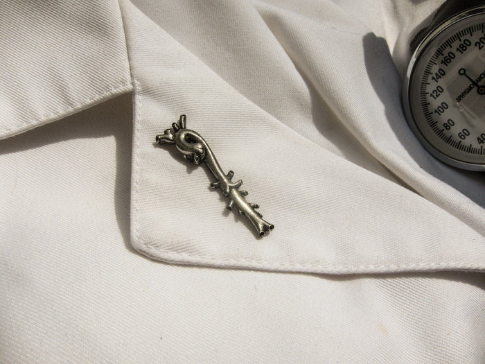 Aorta Lapel Pin