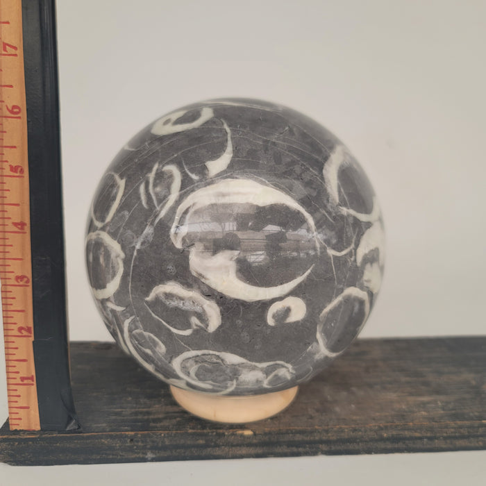 Clam Shell Marble Sphere (11.5 lbs _ S-100)