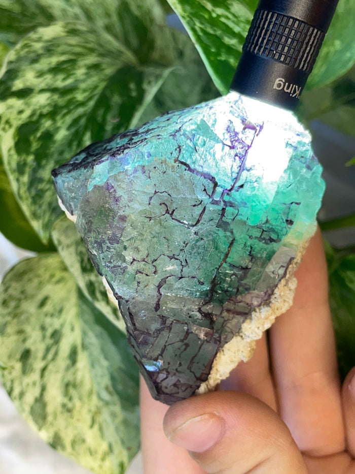 Etched Green Fluorite from Erongo Mountain, Erongo Region, Namibia