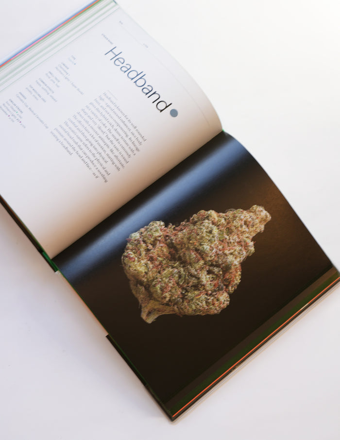 Green: A Field Guide to Marijuana