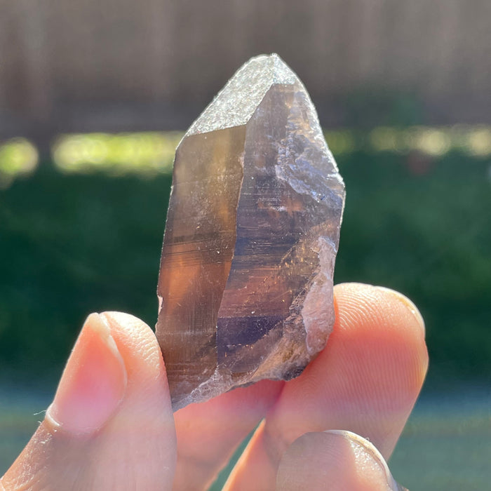 840g Wholesale Flat of Smoky Quartz from Erongo Mountain, Erongo Region, Namibia