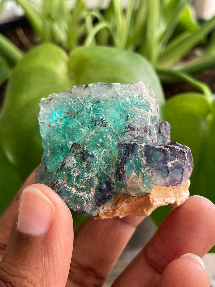 Fluorite Specimen, Erongo Mountain, Erongo Region, Namibia
