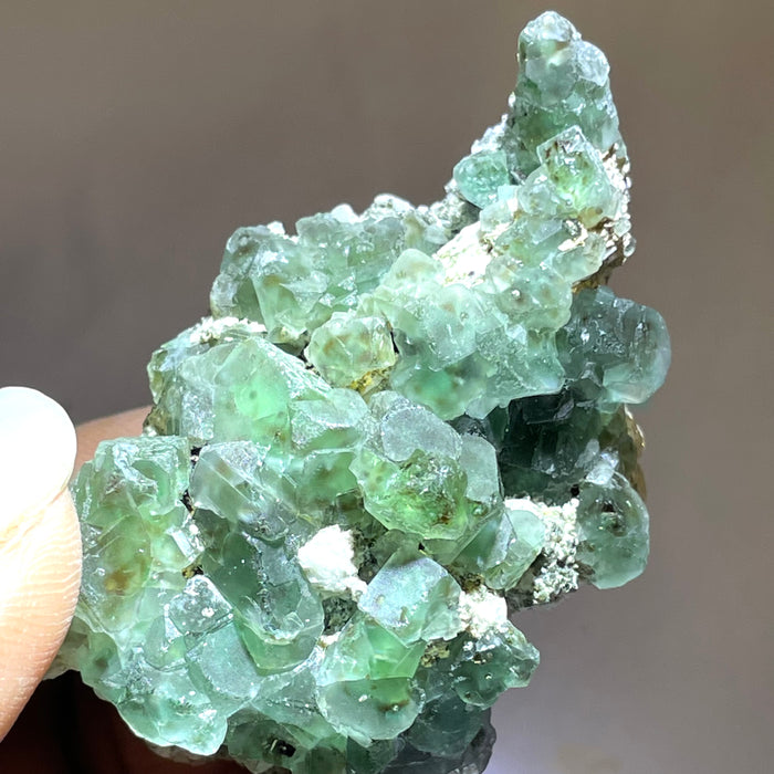 Erongo Fluorite, Erongo Mountain, Erongo Region, Namibia