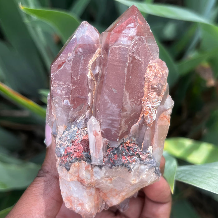 Ishuko Red Phantom Quartz, Hematite included Quartz from the Central Province of Zambia