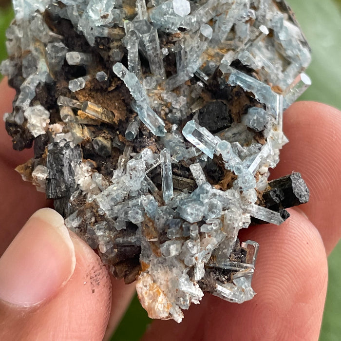 Aquamarine Cluster on Feldspar, From Erongo Region, Namibia