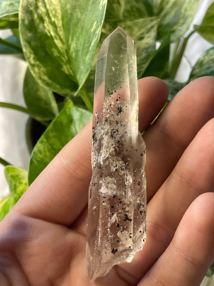 Citrine with Actinolite and Chlorite Inclusions, Citrine Quartz from Harisson Lake, British Columbia, Canada