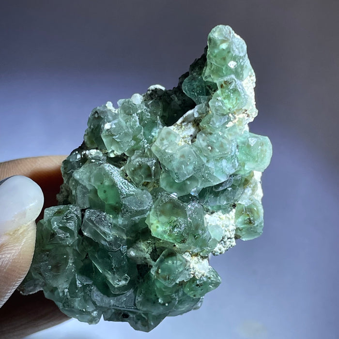 Erongo Fluorite, Erongo Mountain, Erongo Region, Namibia