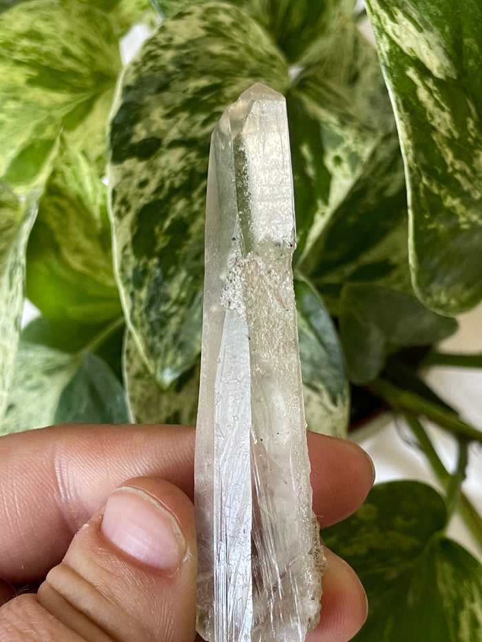 Citrine with Actinolite and Chlorite Inclusions, Citrine Quartz from Harisson Lake, British Columbia, Canada
