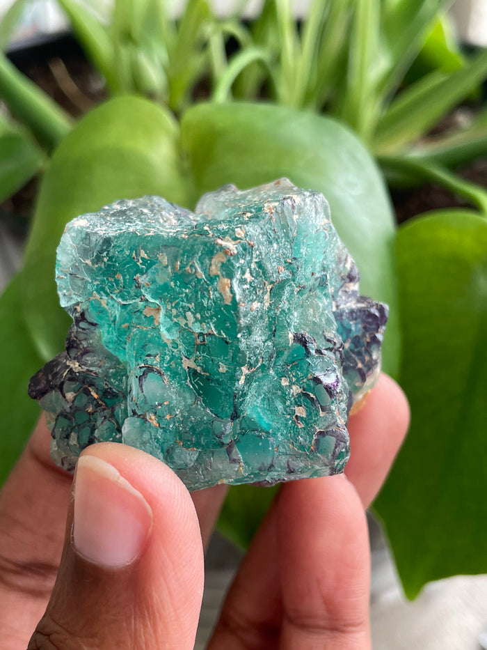 Fluorite Specimen, Erongo Mountain, Erongo Region, Namibia