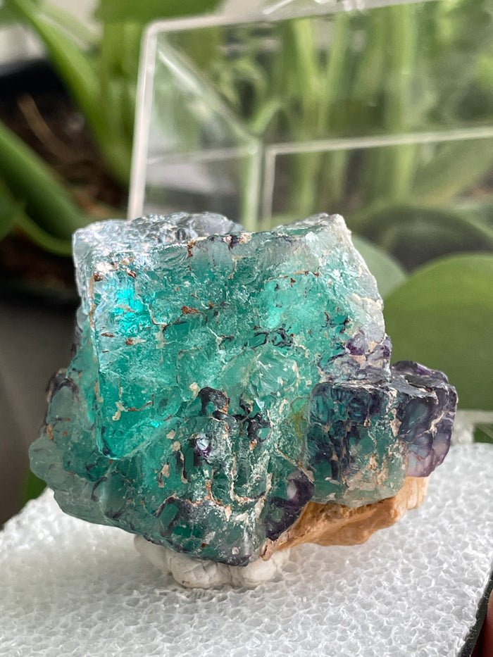 Fluorite Specimen, Erongo Mountain, Erongo Region, Namibia