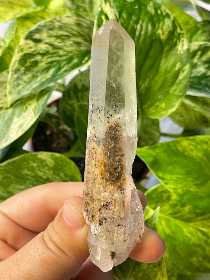 Citrine with Actinolite and Chlorite Inclusions, Citrine Quartz from Harisson Lake, British Columbia, Canada