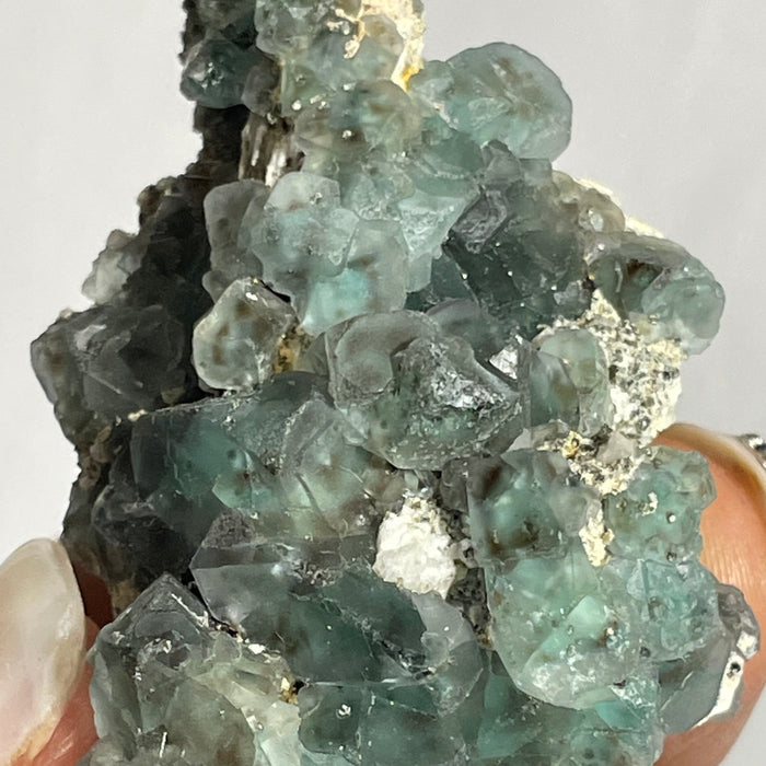 Erongo Fluorite, Erongo Mountain, Erongo Region, Namibia