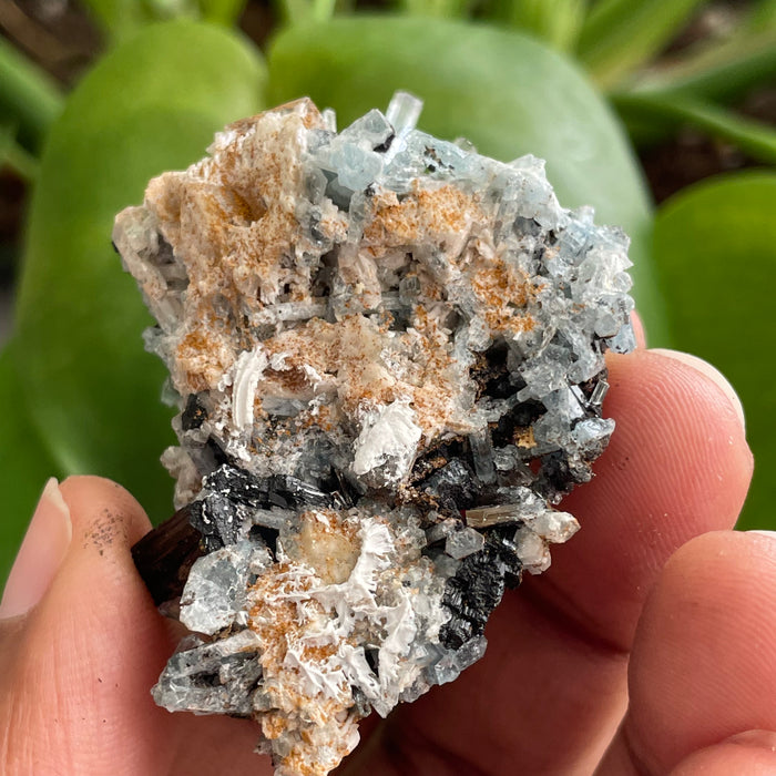 Aquamarine Cluster on Feldspar, From Erongo Region, Namibia