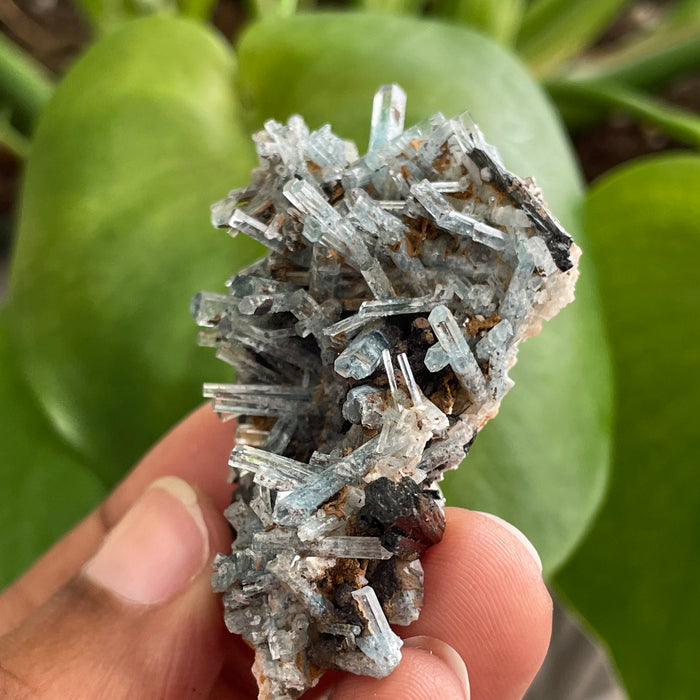 Aquamarine Cluster on Feldspar, From Erongo Region, Namibia