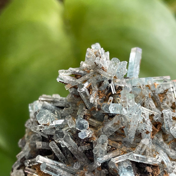Aquamarine Cluster on Feldspar, From Erongo Region, Namibia