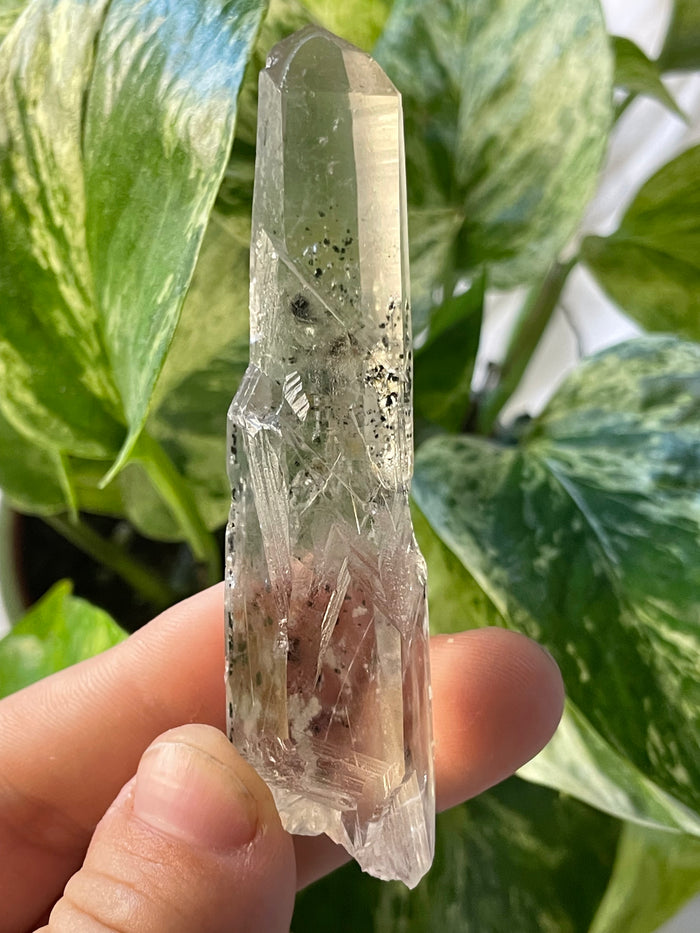 Citrine with Actinolite and Chlorite Inclusions, Citrine Quartz from Harisson Lake, British Columbia, Canada