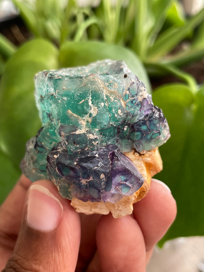 Fluorite Specimen, Erongo Mountain, Erongo Region, Namibia