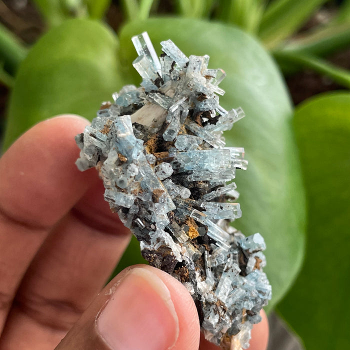 Aquamarine Cluster on Feldspar, From Erongo Region, Namibia