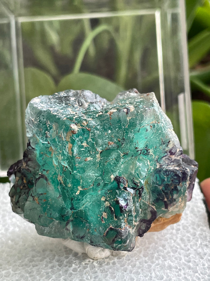 Fluorite Specimen, Erongo Mountain, Erongo Region, Namibia