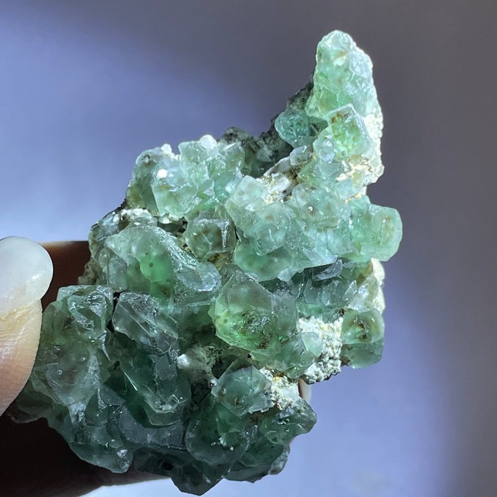 Erongo Fluorite, Erongo Mountain, Erongo Region, Namibia