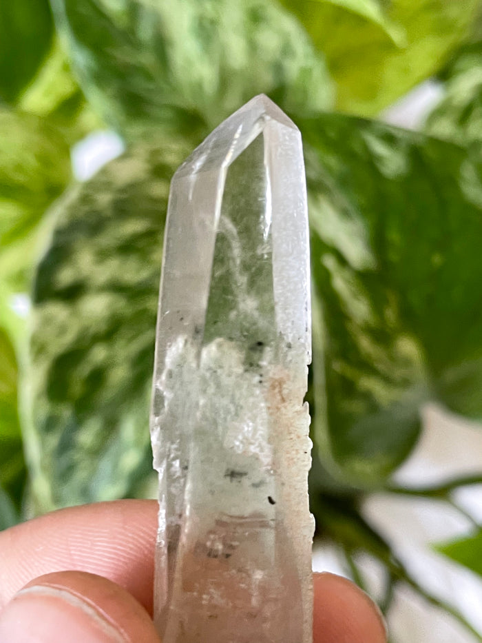 Citrine with Actinolite and Chlorite Inclusions, Citrine Quartz from Harisson Lake, British Columbia, Canada