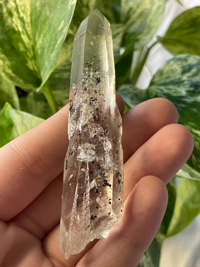 Citrine with Actinolite and Chlorite Inclusions, Citrine Quartz from Harisson Lake, British Columbia, Canada