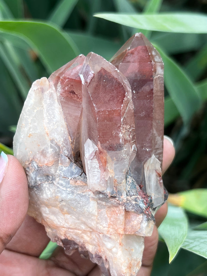Ishuko Red Phantom Quartz, Hematite included Quartz from the Central Province of Zambia
