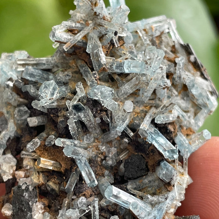 Aquamarine Cluster on Feldspar, From Erongo Region, Namibia
