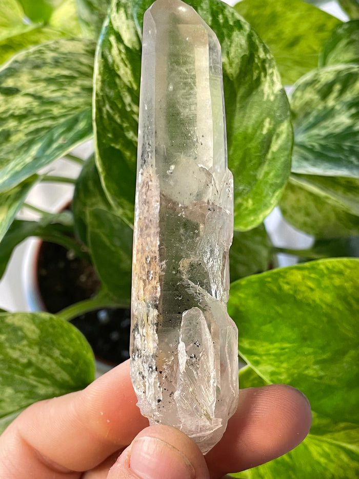 Citrine with Actinolite and Chlorite Inclusions, Citrine Quartz from Harisson Lake, British Columbia, Canada