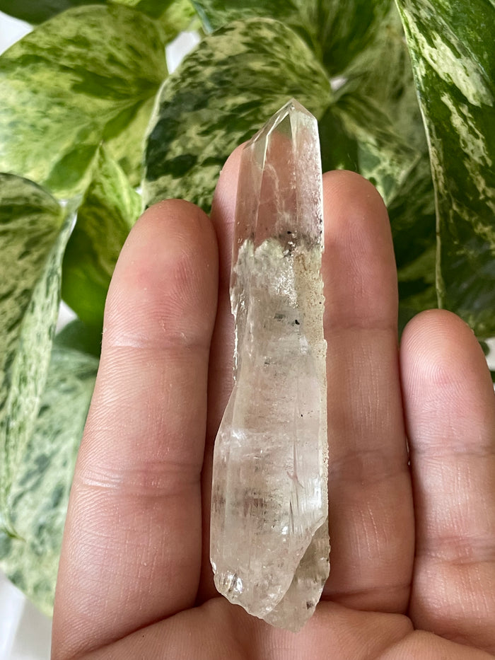 Citrine with Actinolite and Chlorite Inclusions, Citrine Quartz from Harisson Lake, British Columbia, Canada