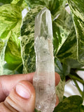 Citrine with Actinolite and Chlorite Inclusions, Citrine Quartz from Harisson Lake, British Columbia, Canada