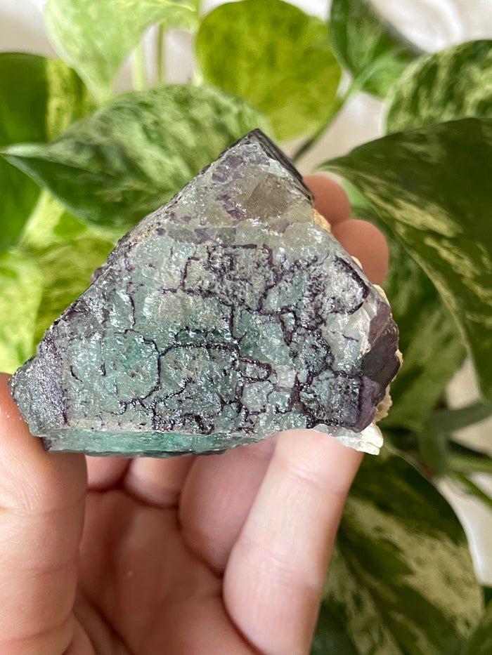 Etched Green Fluorite from Erongo Mountain, Erongo Region, Namibia