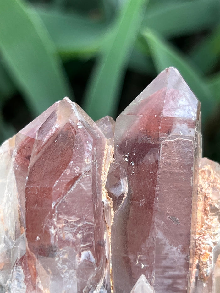 Ishuko Red Phantom Quartz, Hematite included Quartz from the Central Province of Zambia