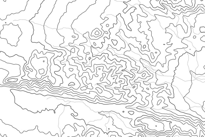 Joshua Tree Topographic Map Art