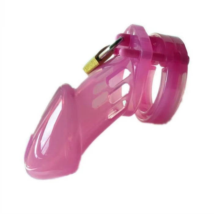 Male Chastity Cock Cage with 5 Penis Ring Devices Penis Cage Bondage Sex Toy for Men Cock Ring Lock