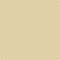 Shop the paint color 248 Mansfield Tan by Benjamin Moore at Anderson Paint Company in Ann Arbor, Michigan.
