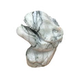 Picasso Jasper T-rex Head $200.00