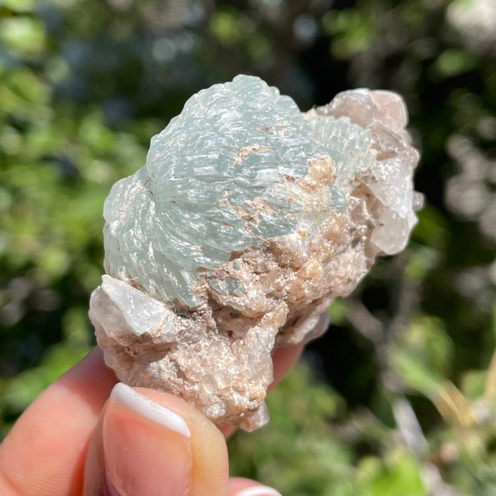 Prehnite on Quartz Matrix, Specimen from Xoboxobos, Brandberg District, Namibia
