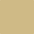 Shop the paint color 249 Sombrero by Benjamin Moore at Anderson Paint Company in Ann Arbor, Michigan.