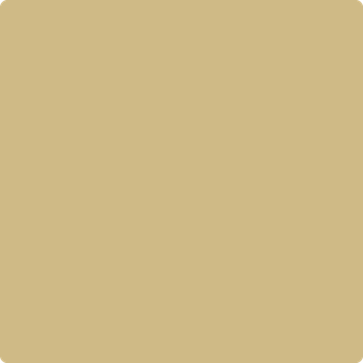 Shop the paint color 249 Sombrero by Benjamin Moore at Anderson Paint Company in Ann Arbor, Michigan.
