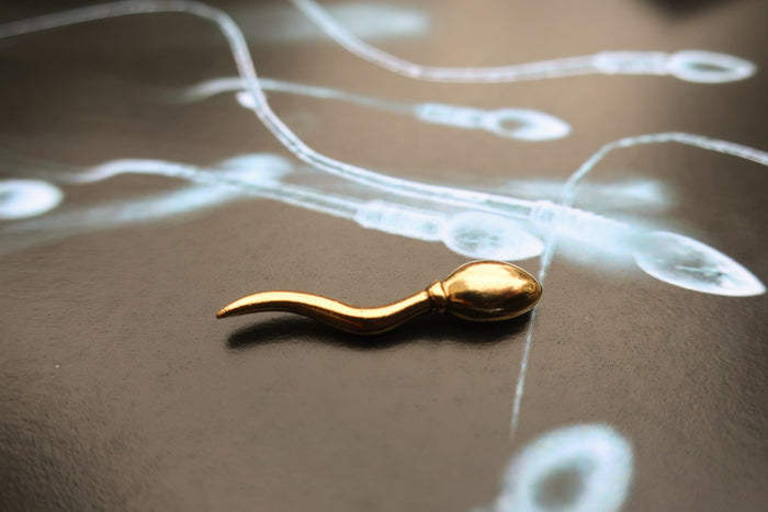 Sperm Gold Lapel Pin