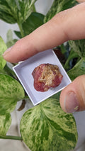 Spinel, Mineral Specimen from Mahenge, Morogoro Region, Tanzania