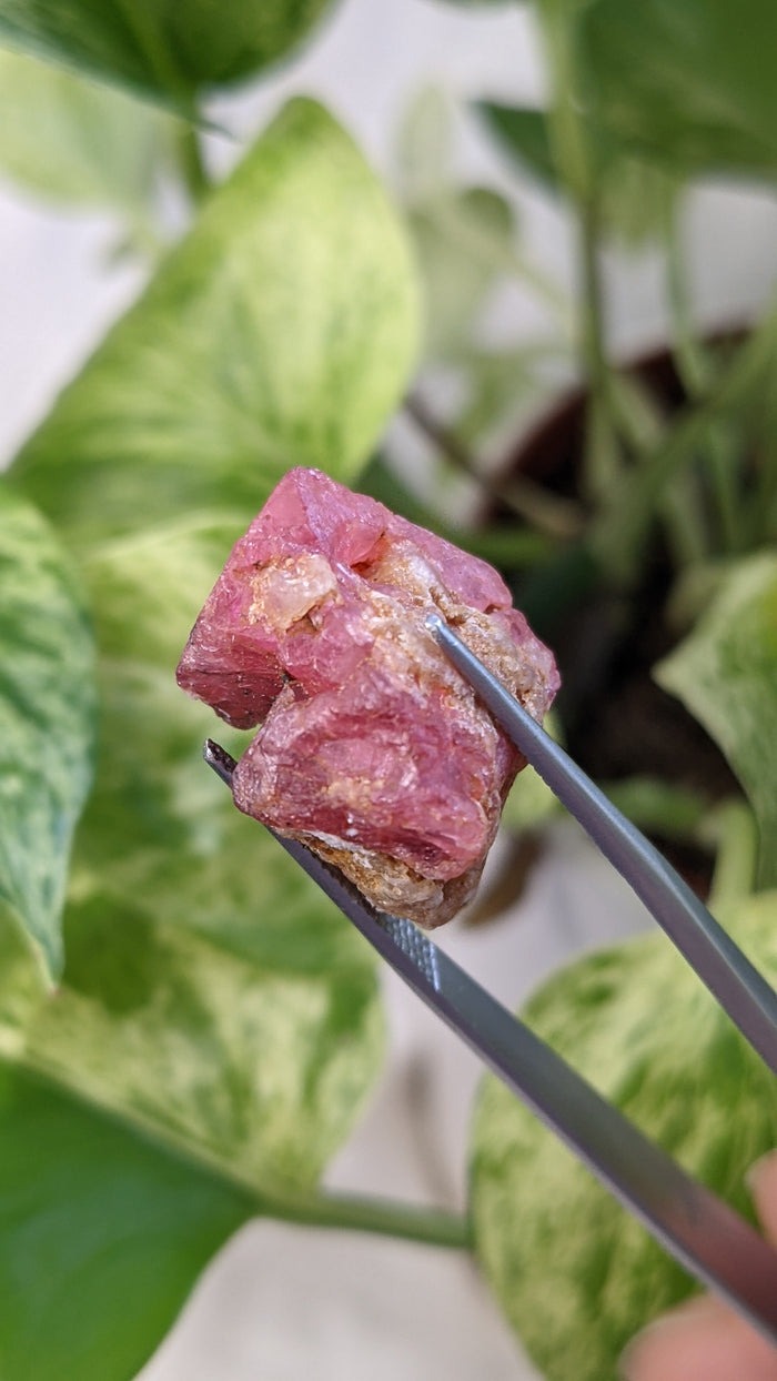 Spinel, Mineral Specimen from Mahenge, Morogoro Region, Tanzania