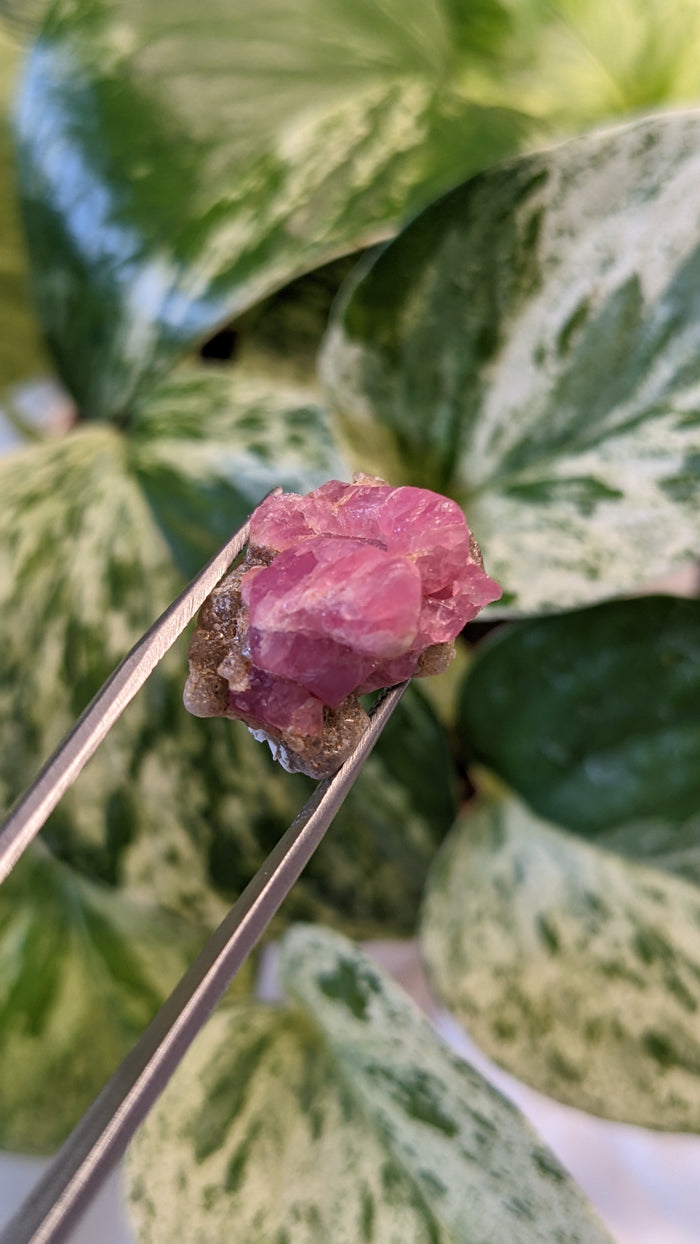 Spinel, Mineral Specimen from Mahenge, Morogoro Region, Tanzania