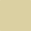 Shop the paint color 263 Spring Morning by Benjamin Moore at Anderson Paint Company in Ann Arbor, Michigan.