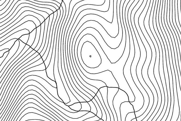 Springer Mountain Topographic Map Art