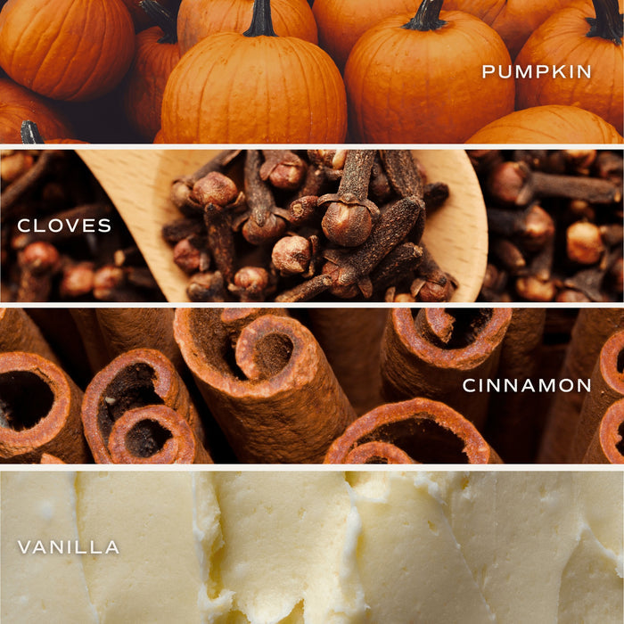 Pumpkin Spice candle ingredients: pumpkin, cloves, cinnamon, and vanilla shown in close-up