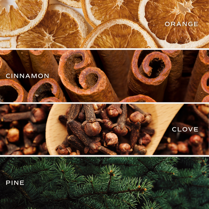 SWEET WATER DECOR | Warm and Cozy Soy Candle