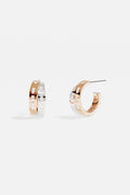 APM Hoop Earrings in two colors, a bold shimmer of modern elegance.